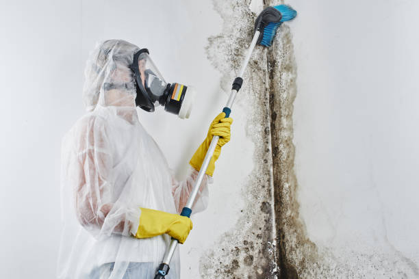 Mold Remediation for Vacation Homes in Avon Park, FL